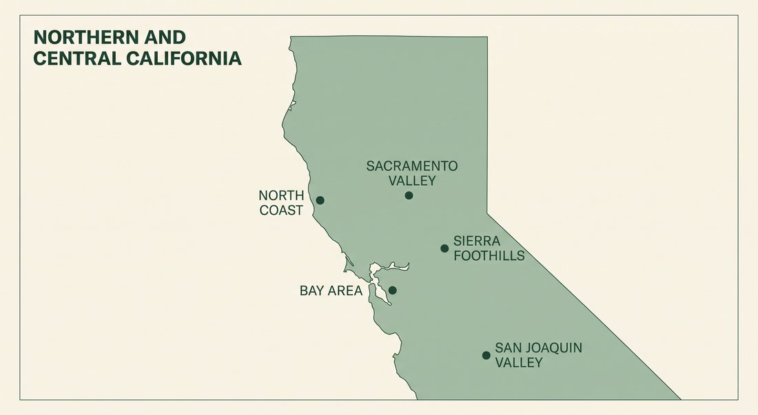 Simplified map of Northern and Central California labelling the North Coast, Sacramento Valley, Bay Area, Sierra foothills and San Joaquin Valley